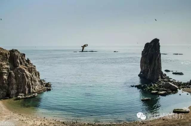 狗狗出行-独享私家海滩-威海国家4A级风景名胜区成山头