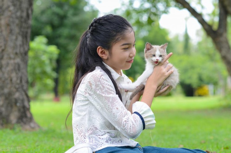 如何让爸妈同意养猫这样说服管用