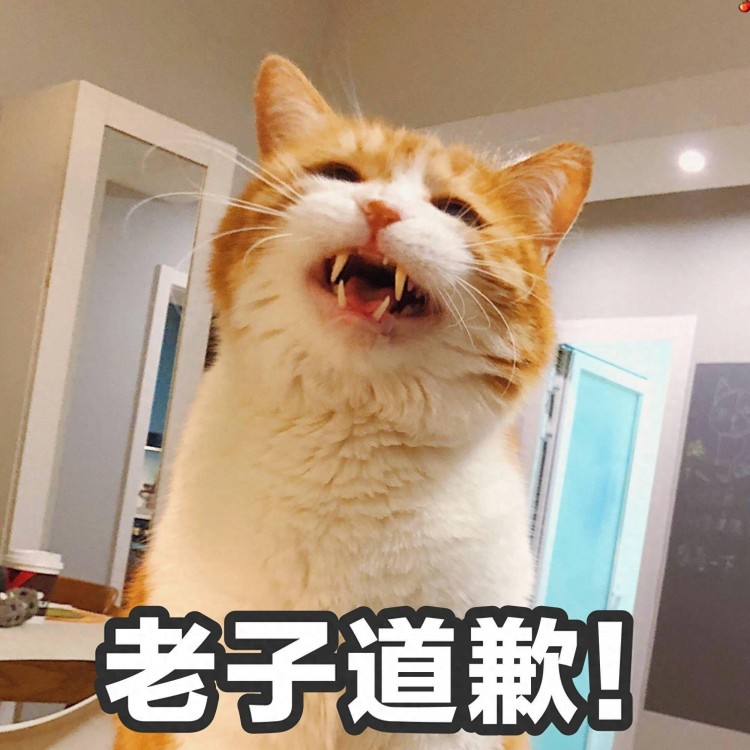 养猫多年才知道，一只猫满屋子“疯跑”，是在暗示这些！